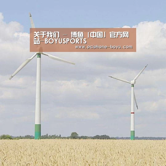 风能
