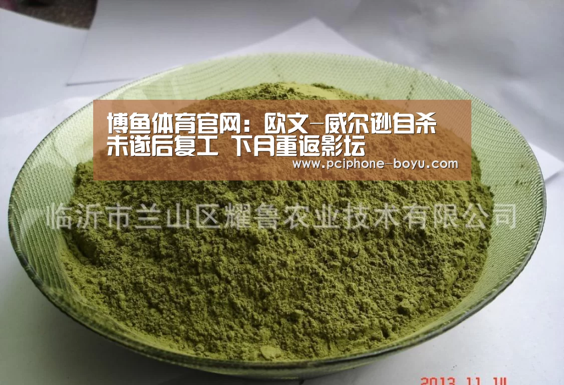  博鱼体育官网