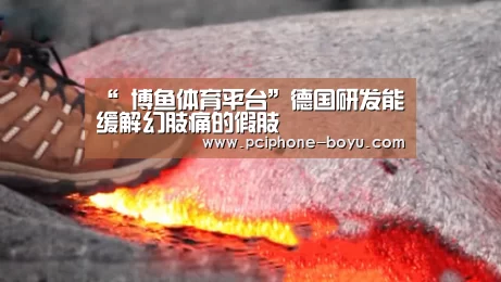 博鱼体育